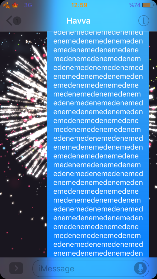IMG_0075.PNG
