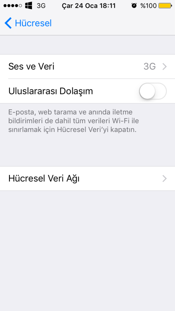 IMG_3803.PNG