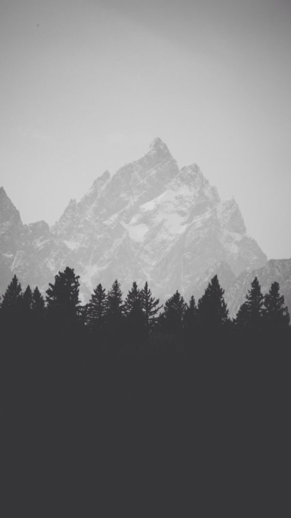 6D658105-307E-43EC-8672-F1E3B54C8A0A.jpeg