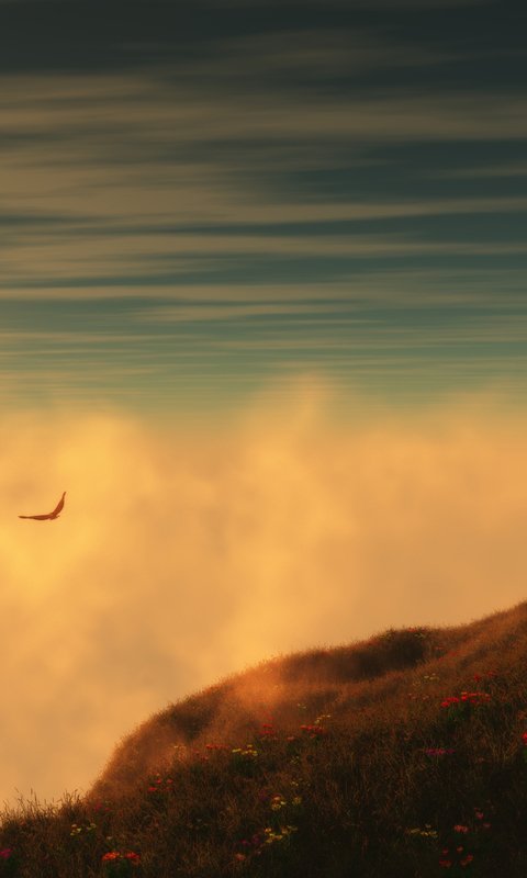 9220F1EA-C0C9-4486-8602-D0156DF2A632.jpeg