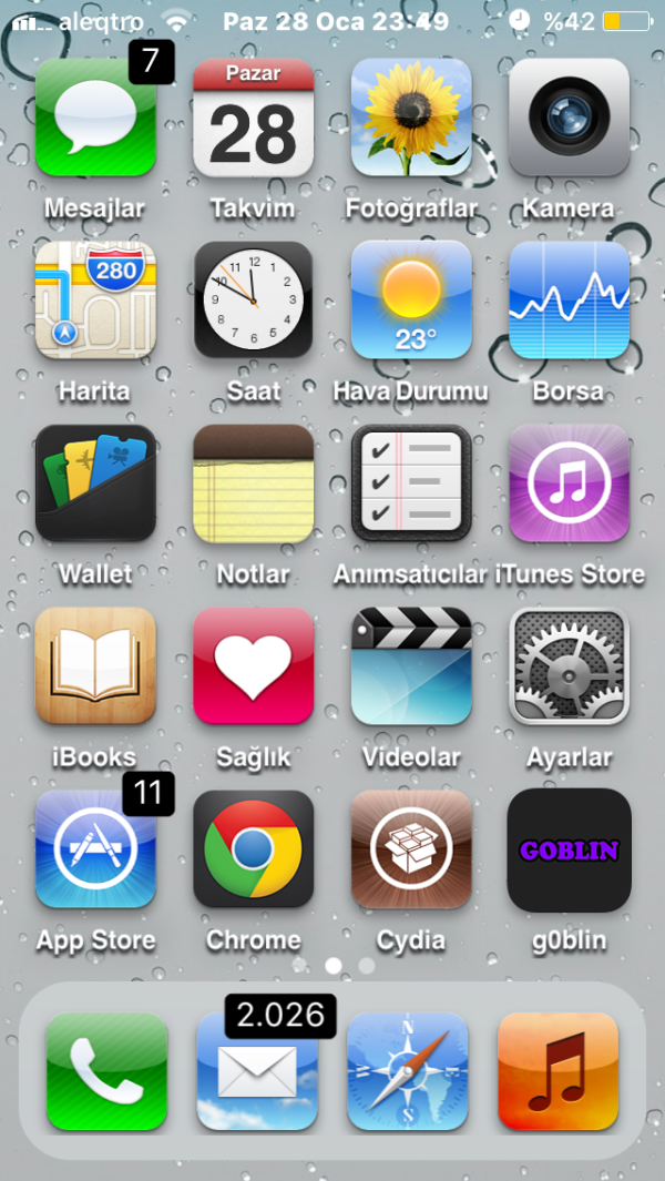 IMG_0099.PNG