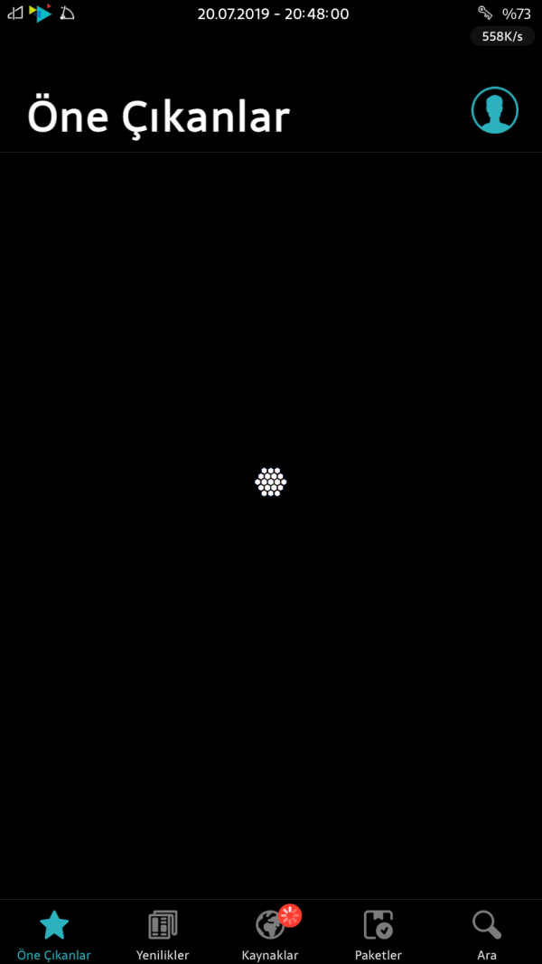 12906 12906