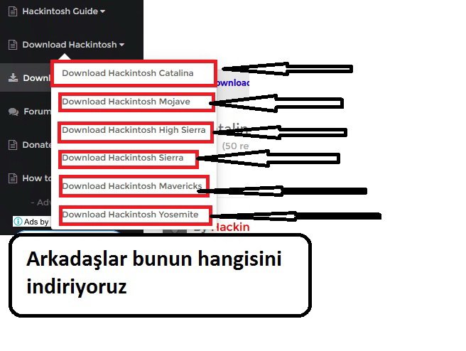 as.jpg