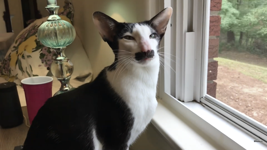 D13F62E9-0D8D-4F60-8BAC-F9E42A863C52.png D13F62E9-0D8D-4F60-8BAC-F9E42A863C52.png