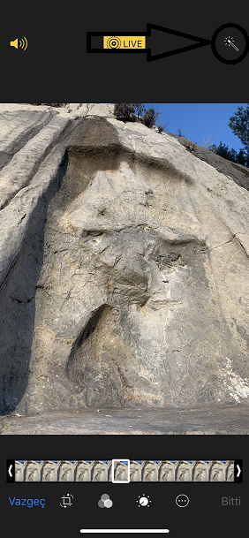 IMG_9579.PNG