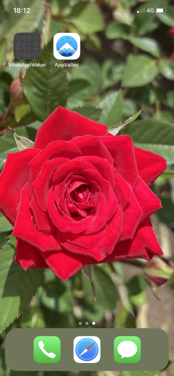 09825D92-1025-49E9-A2B8-AA316A5CCBF2.png