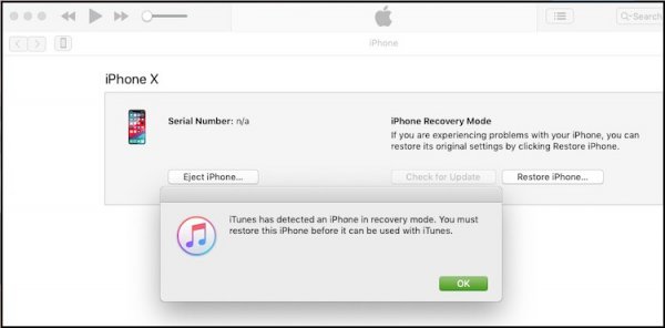5-iPhone-recovery-mode-using-iTunes.jpg