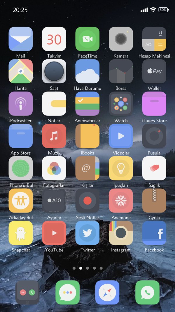 Gunnii 10 (1).jpg