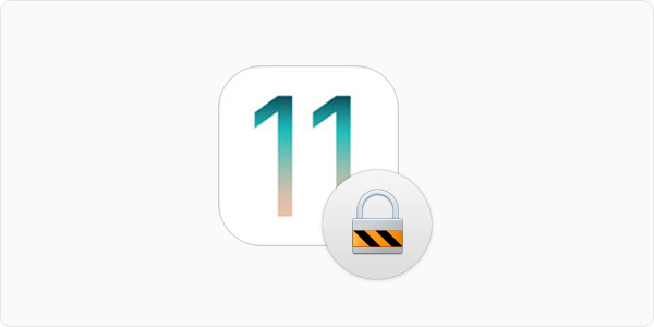 iOS-11-Security-Privacy-Features.png.3afe62ce27fea524a41897dc356a49b4.png