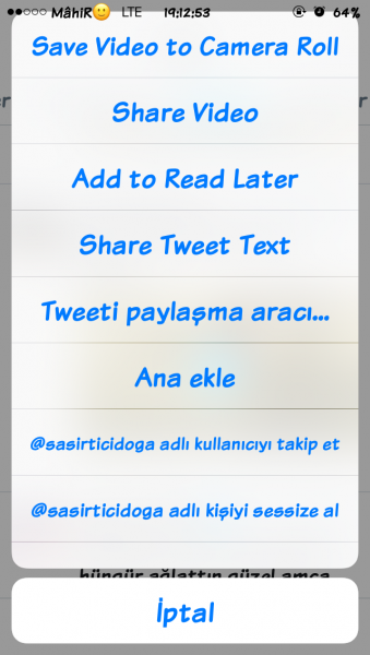 IMG_3577.PNG