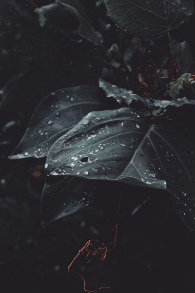 87198E0B-79AA-45C4-B415-F91D523119D1.jpeg