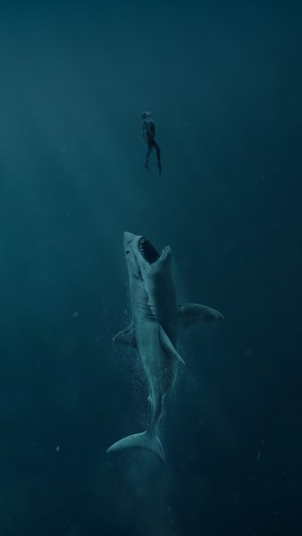 1 (5).jpg
