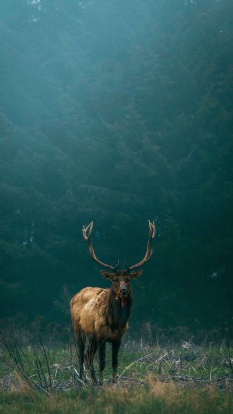 3BC48063-A4C7-4264-9A12-C12FE6F1DD1B.jpeg