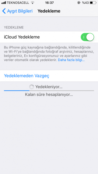 FB8D66FE-F107-463D-8B05-5F621F37E89A.png