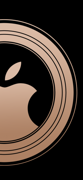 Black Gold with Logo for iPhone X.png