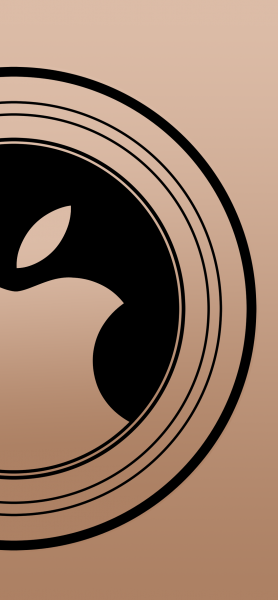 Gold with Logo for iPhone X.png