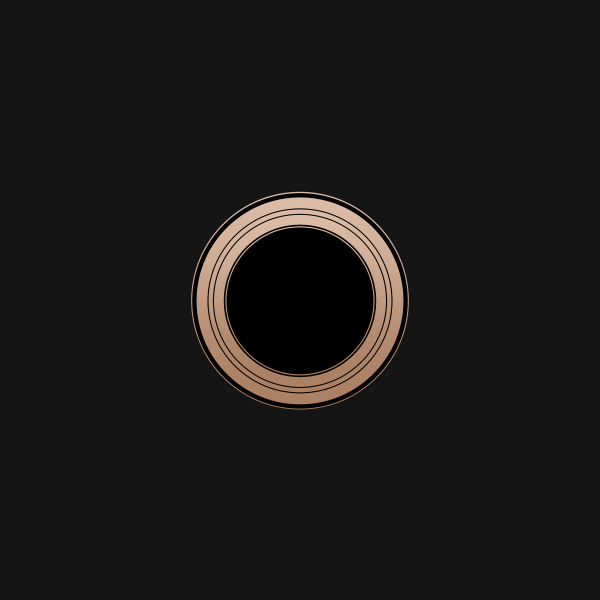 iPad V1.png