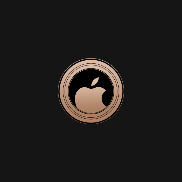 iPad V2.png