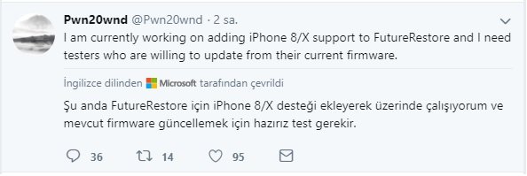 12132.jpg