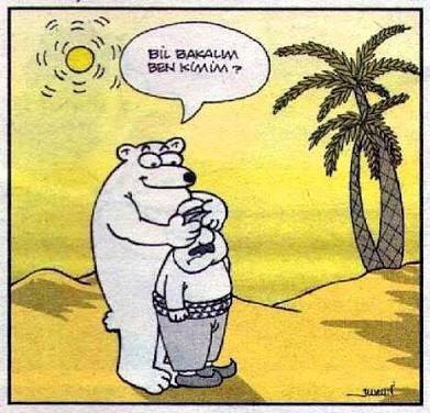 98ef12638cd3e9debc2b349f84e5ae01.jpg