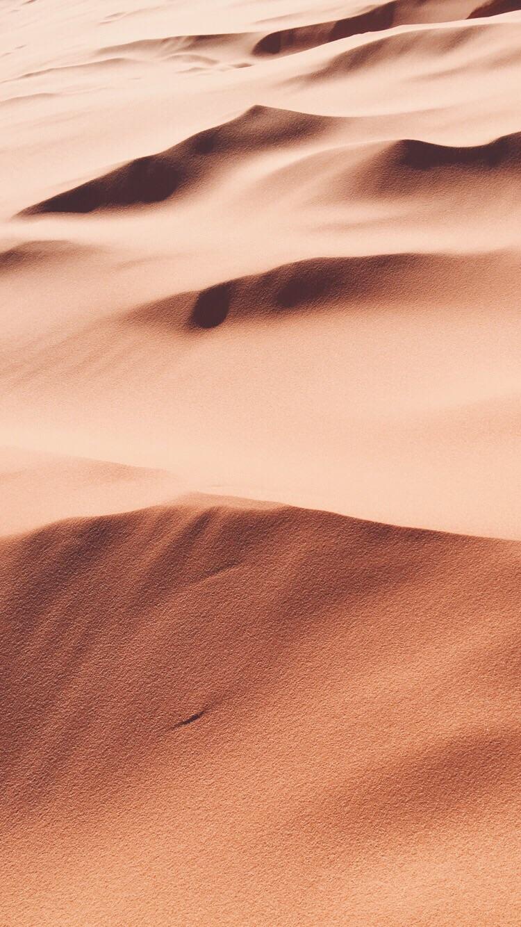 c8001027b32ab2f76189f401e5fb01e6.jpg