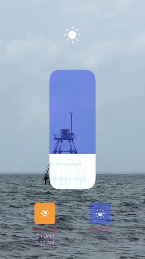 6.png